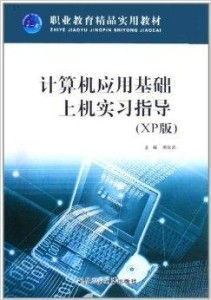 職業(yè)教育精品實用教材 計算機應用基礎上機銷售指南