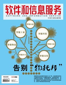 軟件信息咨詢服務 數(shù)字化時代的戰(zhàn)略導航