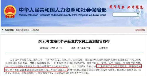 北京軟件信息服務業(yè)新生代農民工占比提升 人才結構新動態(tài)背后的機遇與挑戰(zhàn)