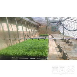 溫室大棚噴水施肥育苗噴灌機(jī)噴水車 技術(shù)解析與廠價(jià)直銷優(yōu)勢(shì)